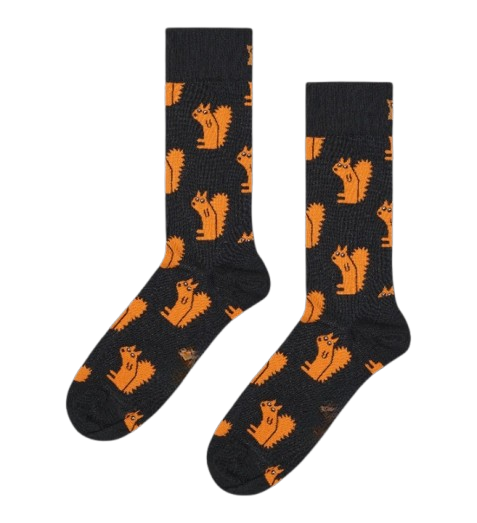 Squirrel Sock